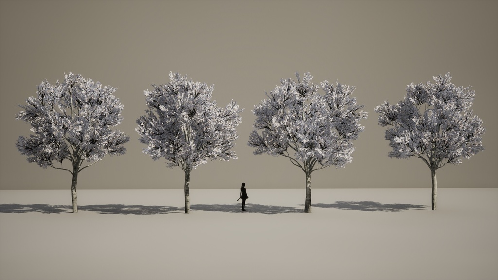 4本 コブシ(辛夷)の木 3Dモデル II ゲーム用最適化 II LOD