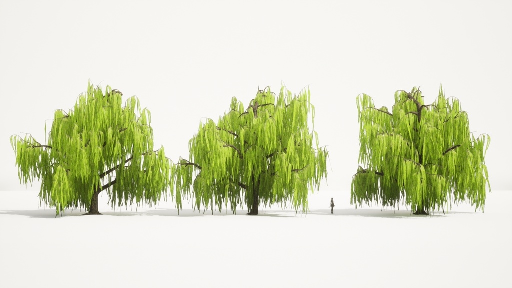 柳の3Dパック:四季の垂れ柳