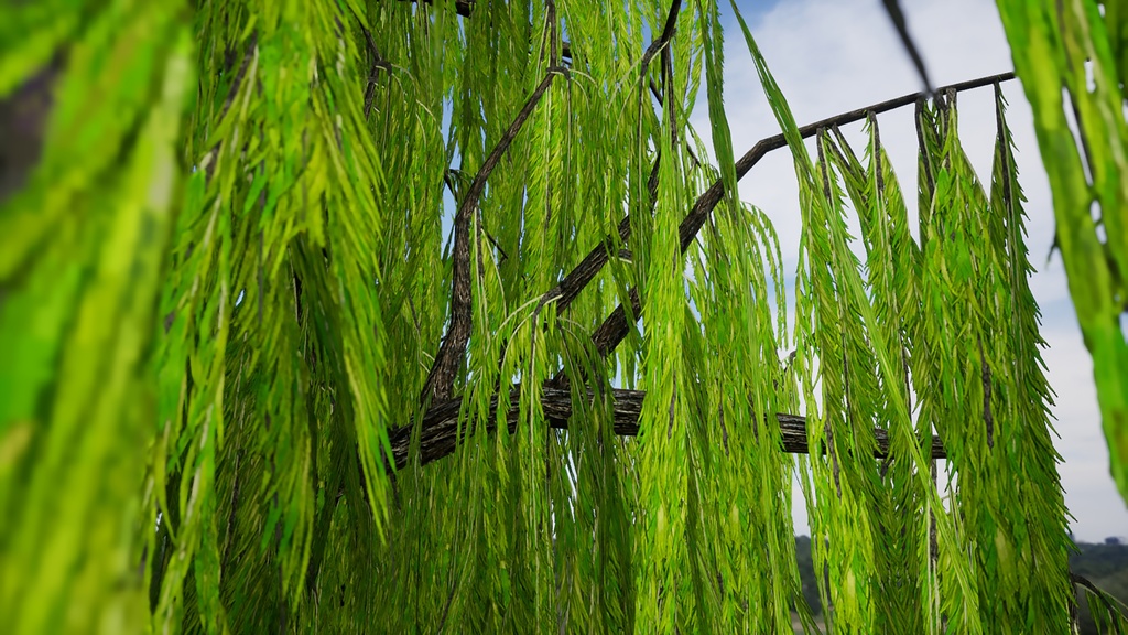 柳の3Dパック:四季の垂れ柳