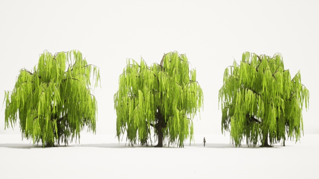 柳の3Dパック:四季の垂れ柳