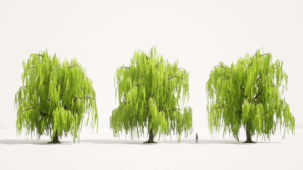 柳の3Dパック:四季の垂れ柳