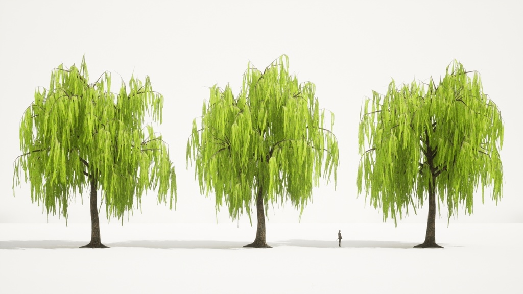 柳の3Dパック:四季の垂れ柳