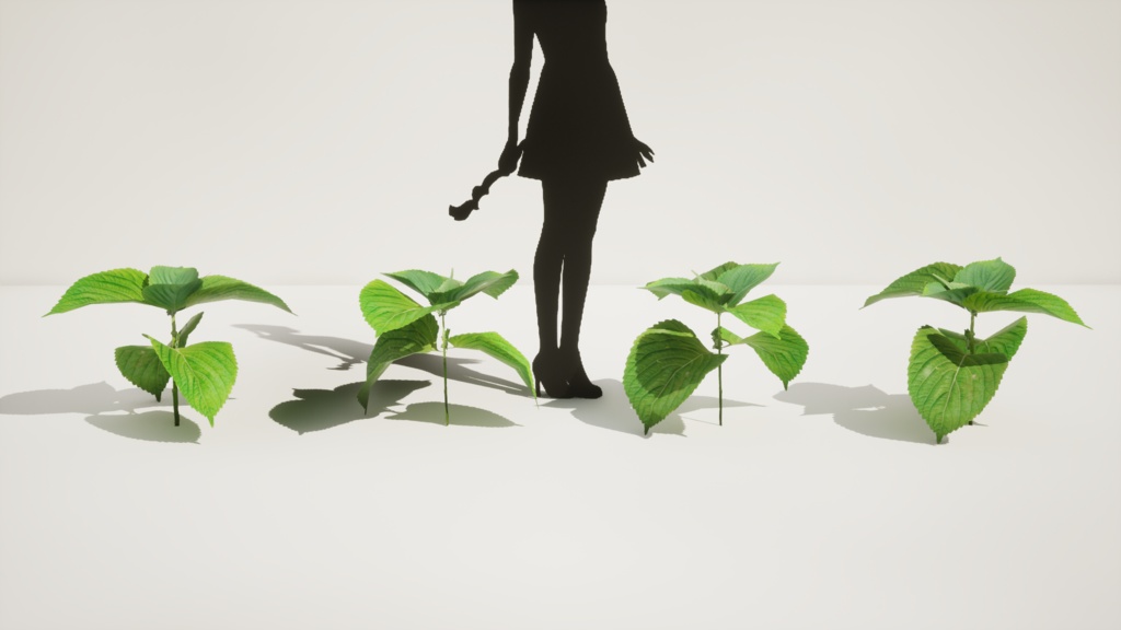 4種類のエゴマの葉の植物パック