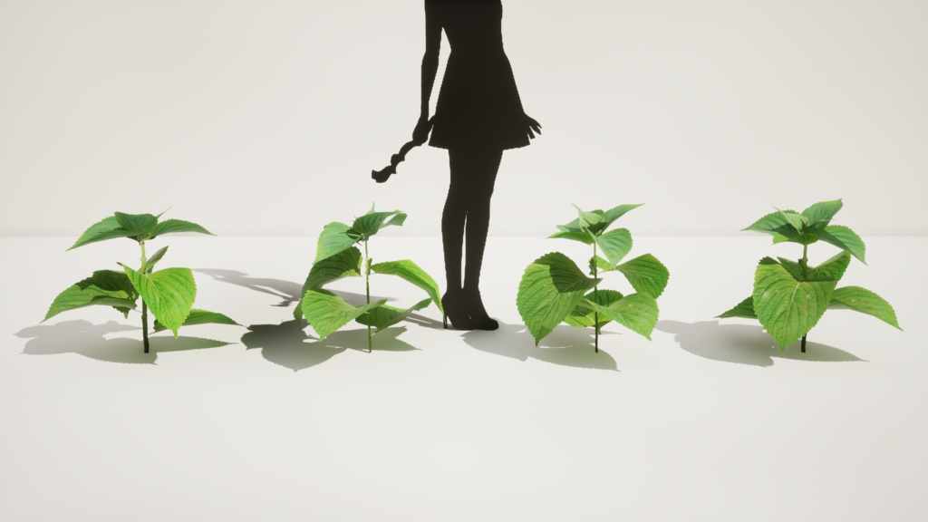 4種類のエゴマの葉の植物パック