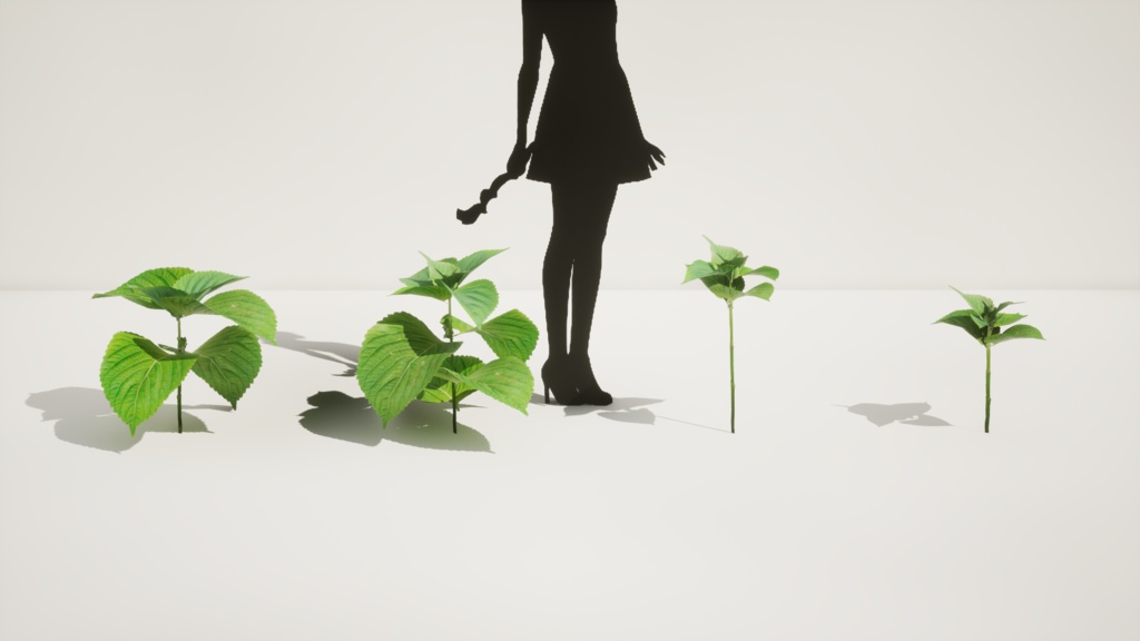 4種類のエゴマの葉の植物パック