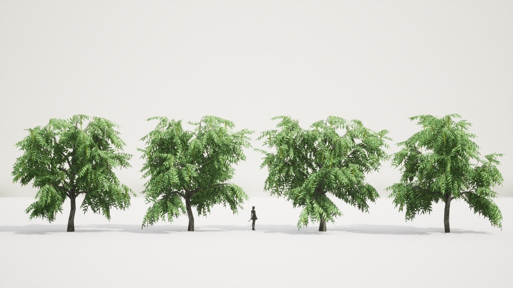 リアルな楓の木3Dモデルコレクション