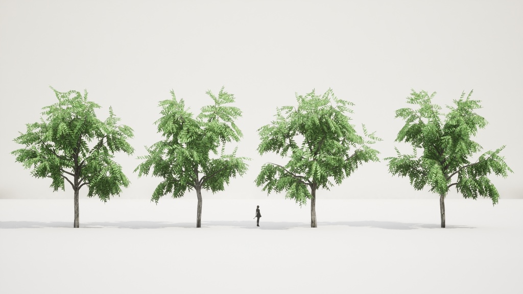 リアルな楓の木3Dモデルコレクション