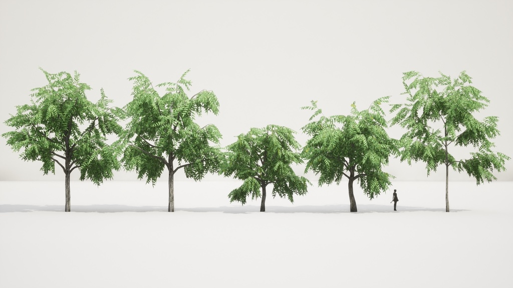 リアルな楓の木3Dモデルコレクション