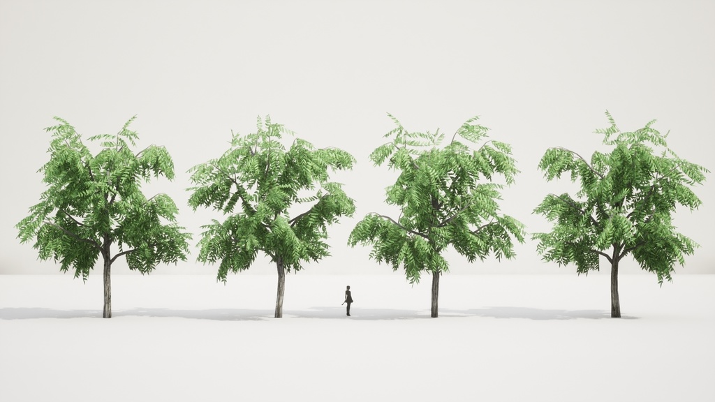 リアルな楓の木3Dモデルコレクション