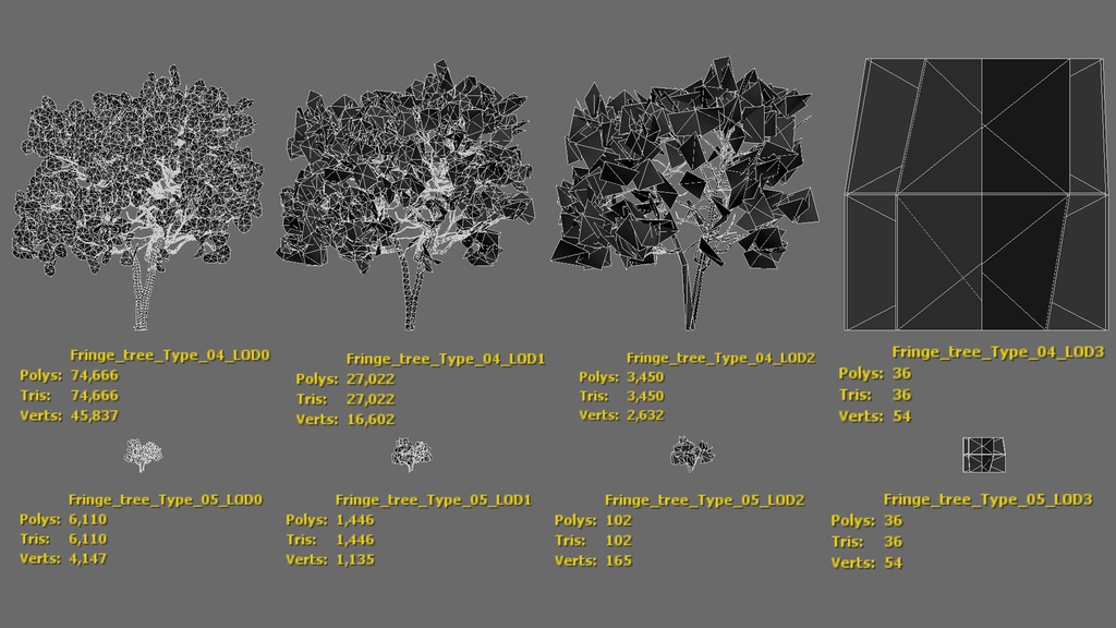 春の輝き:満開イパンナム