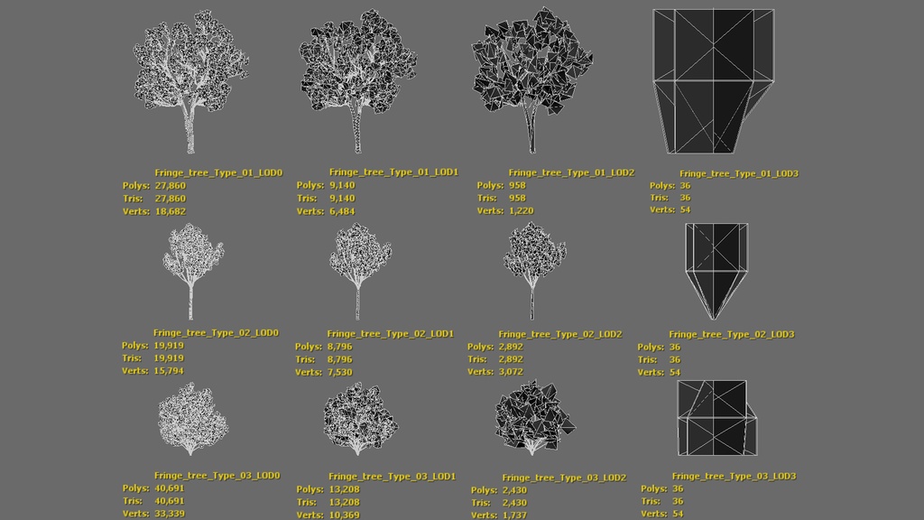 春の輝き:満開イパンナム