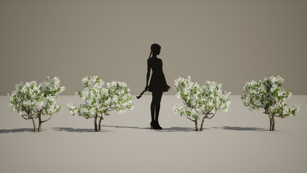 春の輝き:満開イパンナム