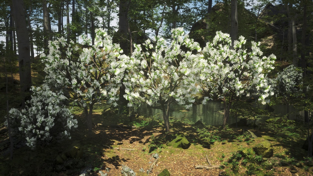 春の輝き:満開イパンナム