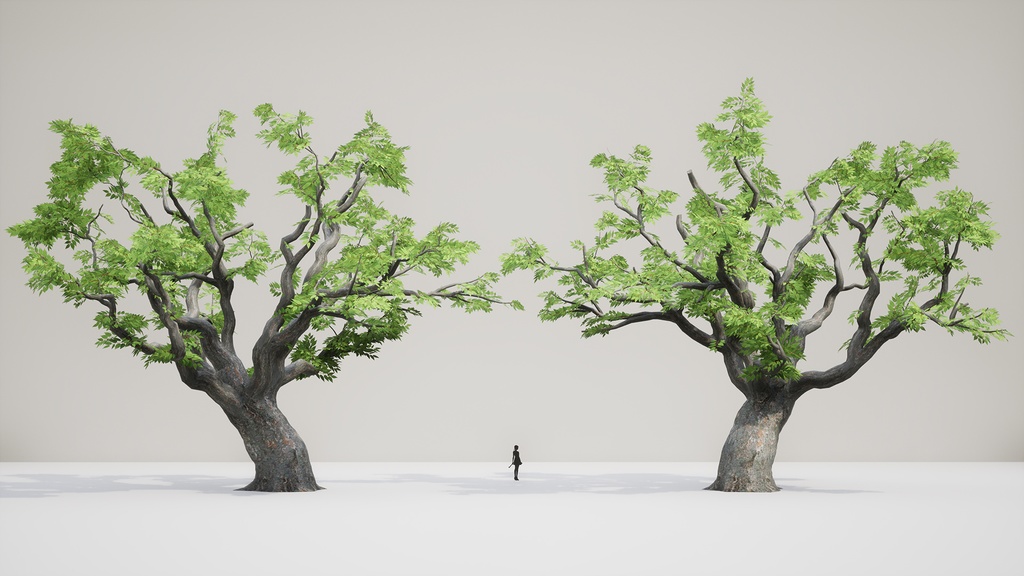 四季を彩る感動の景観:4 けやき3D四季折々パック