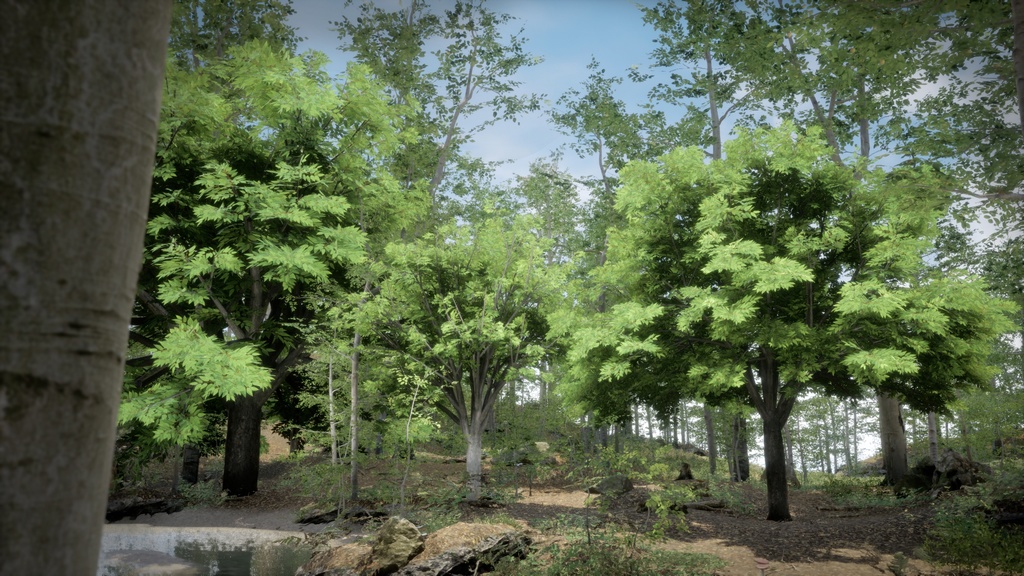 四季を彩る感動の景観:4 けやき3D四季折々パック