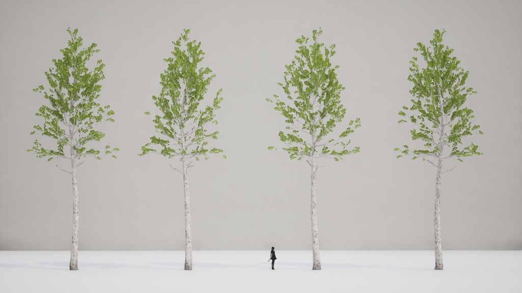 韓国の自然美を再現:5 チョウセンヤマナラシ PACK