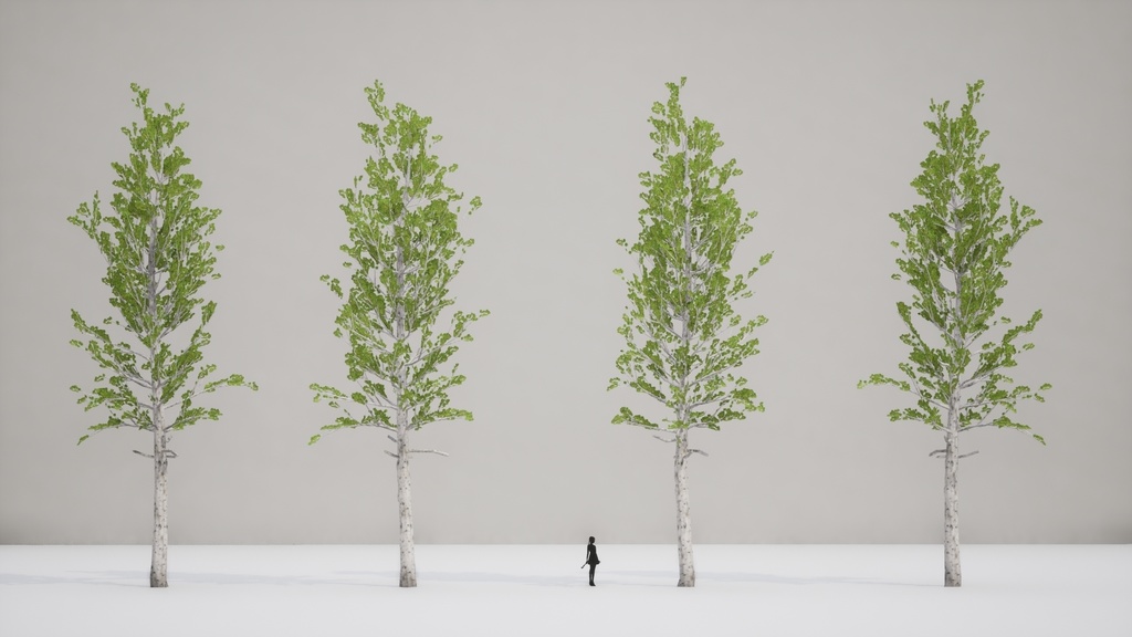 韓国の自然美を再現:5 チョウセンヤマナラシ PACK