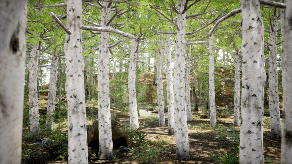 韓国の自然美を再現:5 チョウセンヤマナラシ PACK