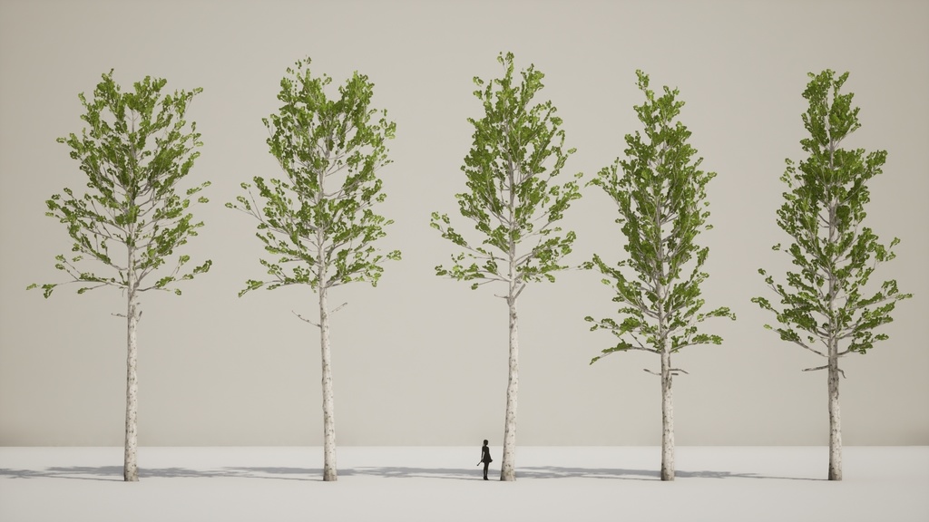 韓国の自然美を再現:5 チョウセンヤマナラシ PACK