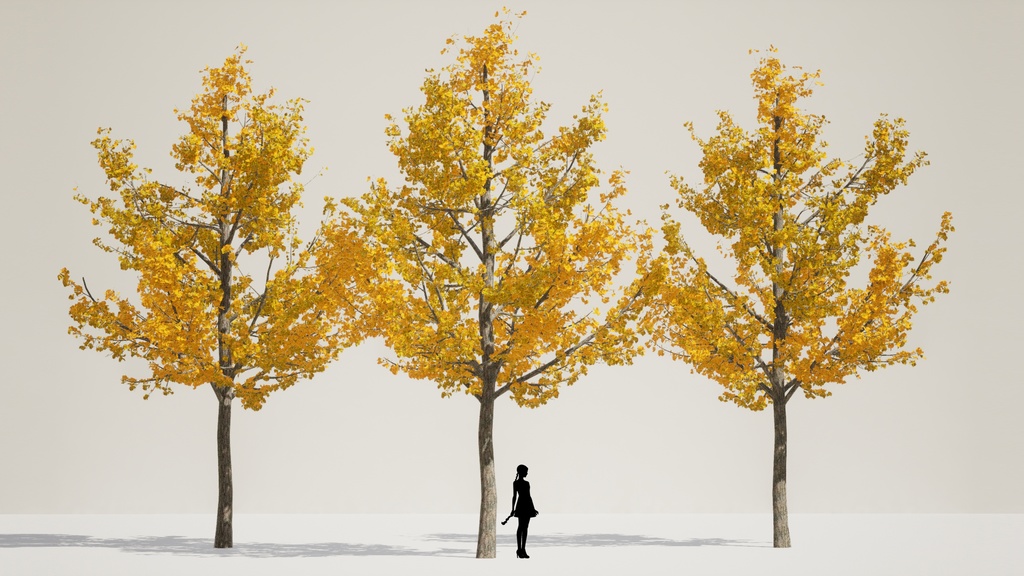 ソウルの緑:リアル3D街路樹セット 01