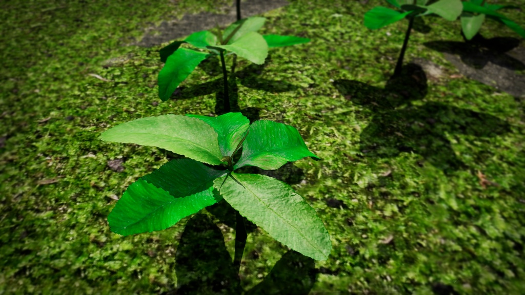 幻の絶滅危惧種:済州島のマンキュア 3Dモデル