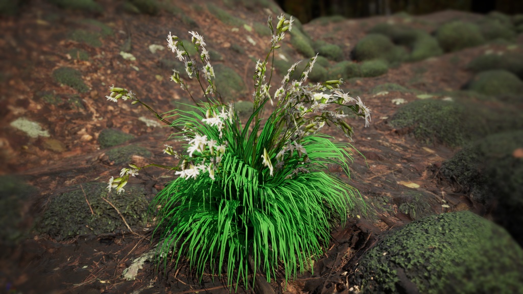 幻の絶滅危惧種:済州島のハンラチャングチェ 3Dモデル
