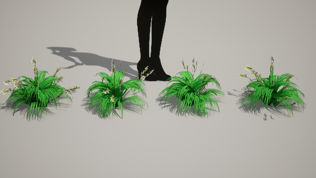 幻の絶滅危惧種:済州島のハンラチャングチェ 3Dモデル