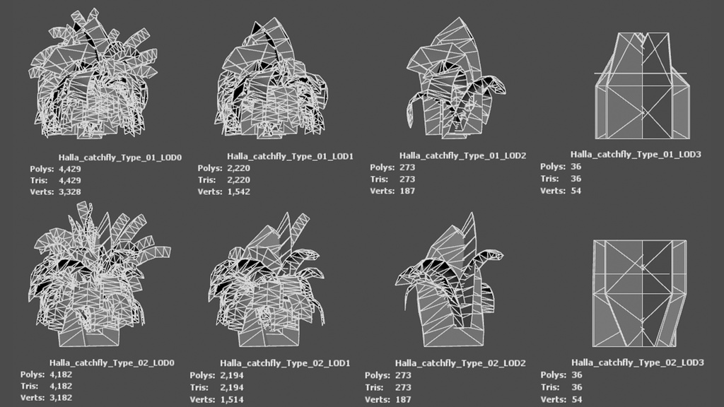 幻の絶滅危惧種:済州島のハンラチャングチェ 3Dモデル