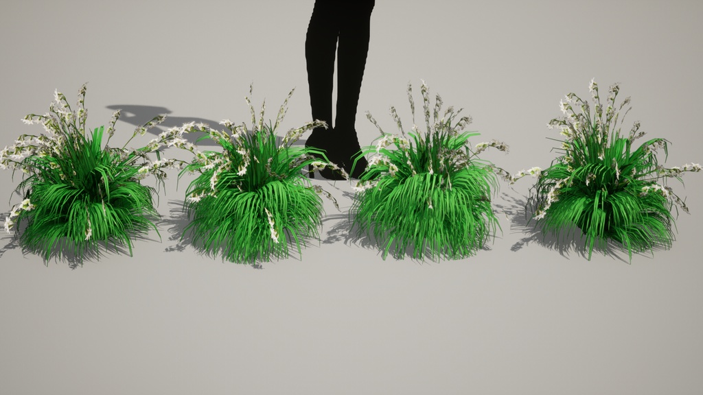 幻の絶滅危惧種:済州島のハンラチャングチェ 3Dモデル