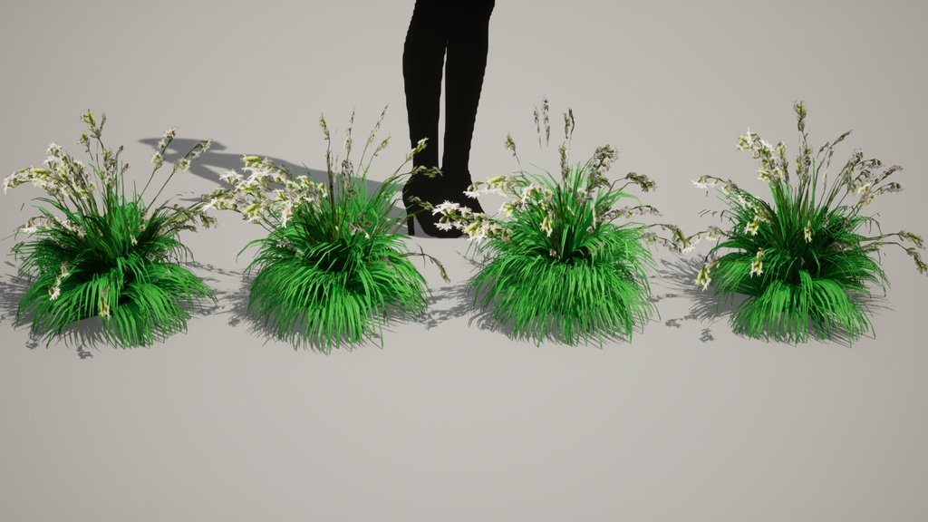 幻の絶滅危惧種:済州島のハンラチャングチェ 3Dモデル