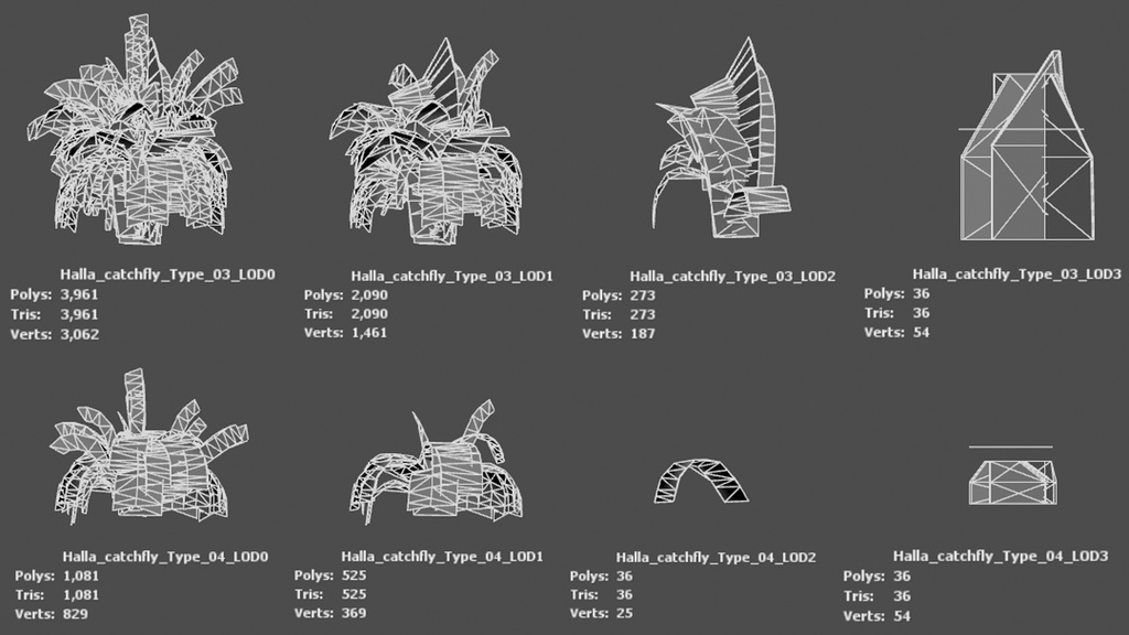 幻の絶滅危惧種:済州島のハンラチャングチェ 3Dモデル