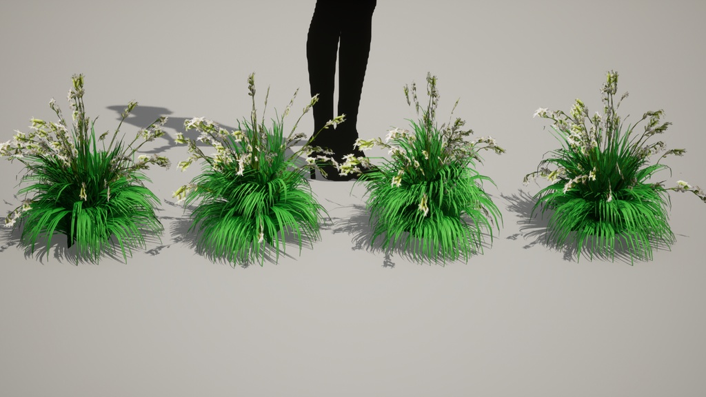 幻の絶滅危惧種:済州島のハンラチャングチェ 3Dモデル