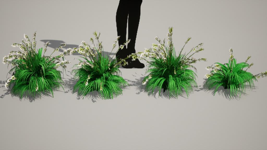 幻の絶滅危惧種:済州島のハンラチャングチェ 3Dモデル