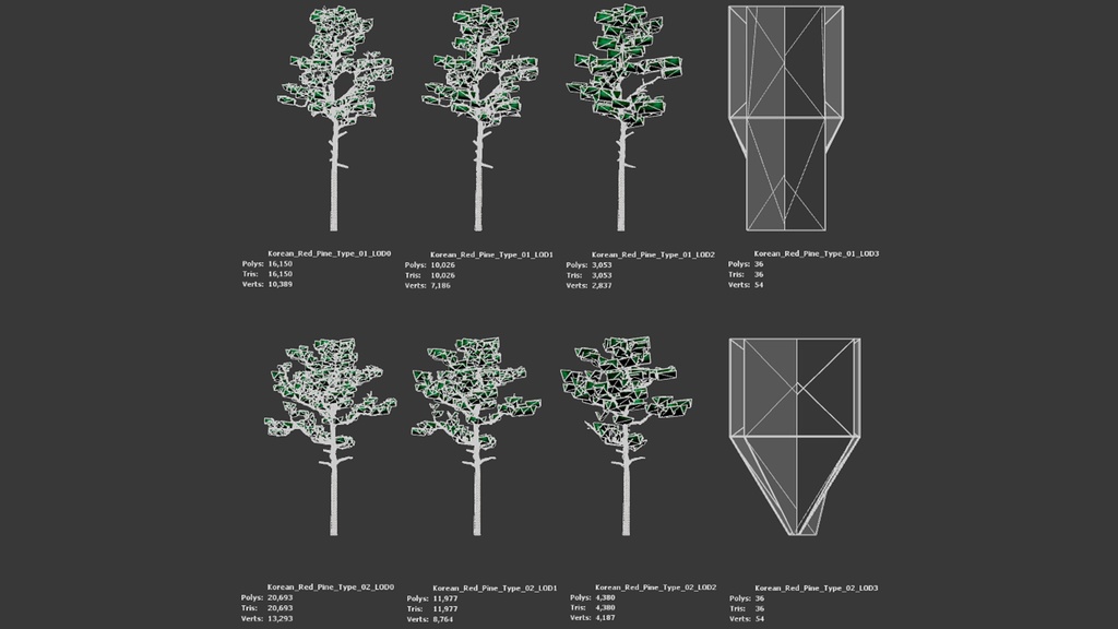 韓国の宝木:金剛松の3Dデジタルアーカイブ