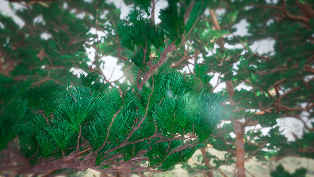 韓国の宝木:金剛松の3Dデジタルアーカイブ