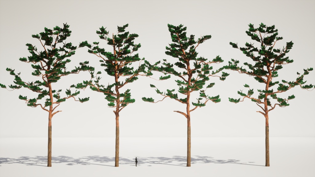 韓国の宝木:金剛松の3Dデジタルアーカイブ