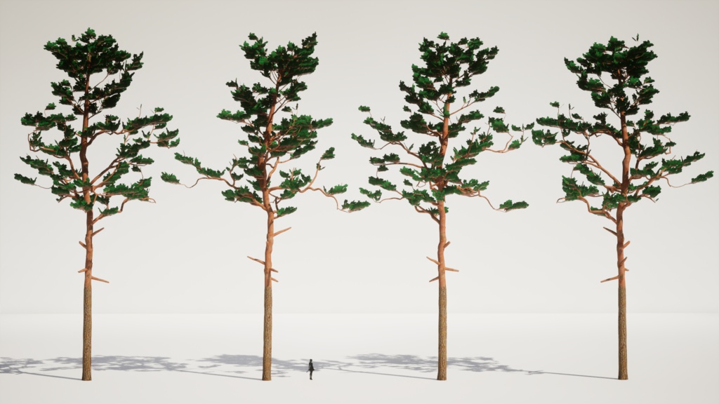 韓国の宝木:金剛松の3Dデジタルアーカイブ