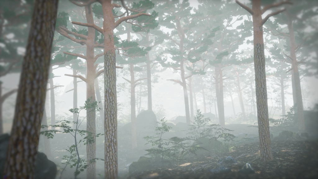 韓国の宝木:金剛松の3Dデジタルアーカイブ