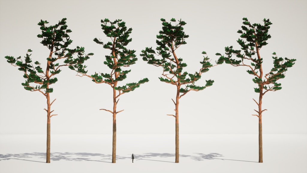 韓国の宝木:金剛松の3Dデジタルアーカイブ