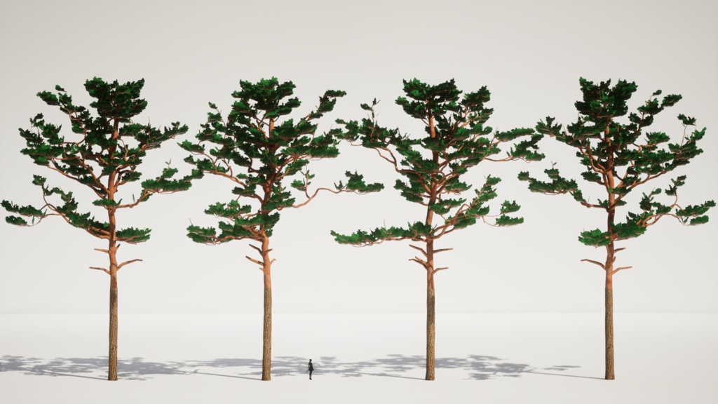 韓国の宝木:金剛松の3Dデジタルアーカイブ