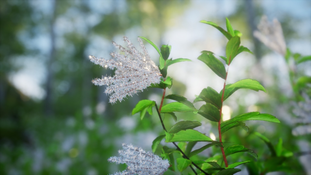 幻の金剛ナナカマド:韓国の希少植物3Dモデル