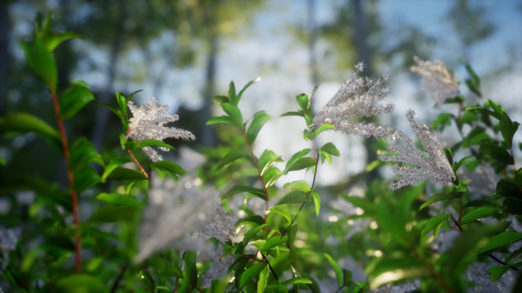 幻の金剛ナナカマド:韓国の希少植物3Dモデル