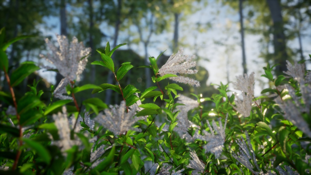 幻の金剛ナナカマド:韓国の希少植物3Dモデル