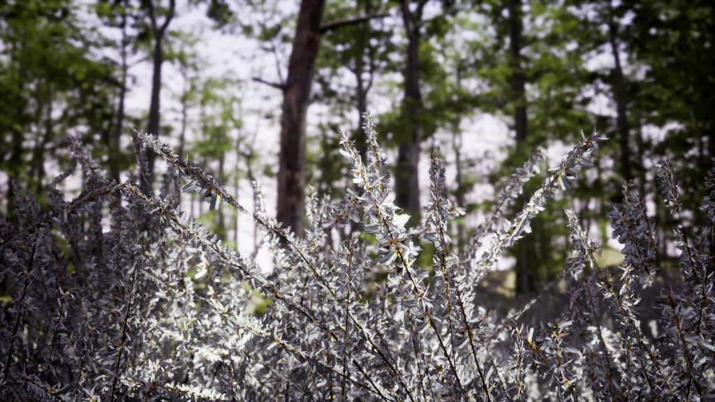 韓国の宝木:ミソナの3Dデジタルアーカイブ