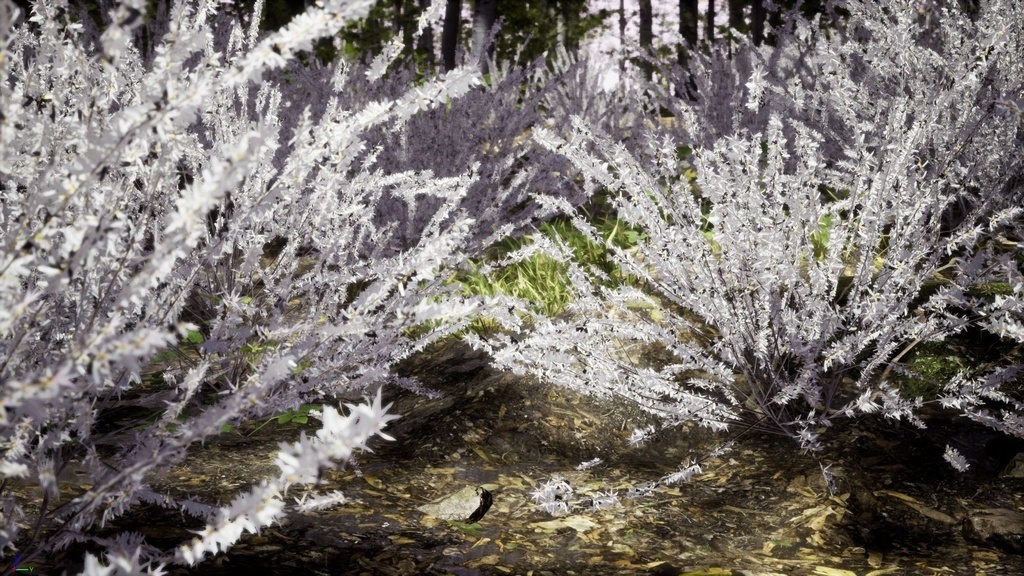 韓国の宝木:ミソナの3Dデジタルアーカイブ