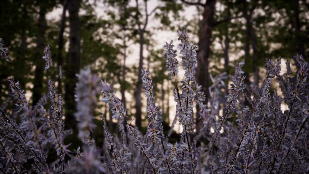 韓国の宝木:ミソナの3Dデジタルアーカイブ