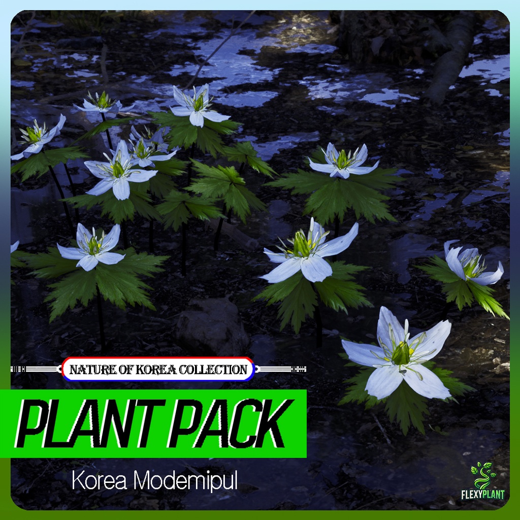 幻の花、モデミプル：韓国固有種の3Dデータ