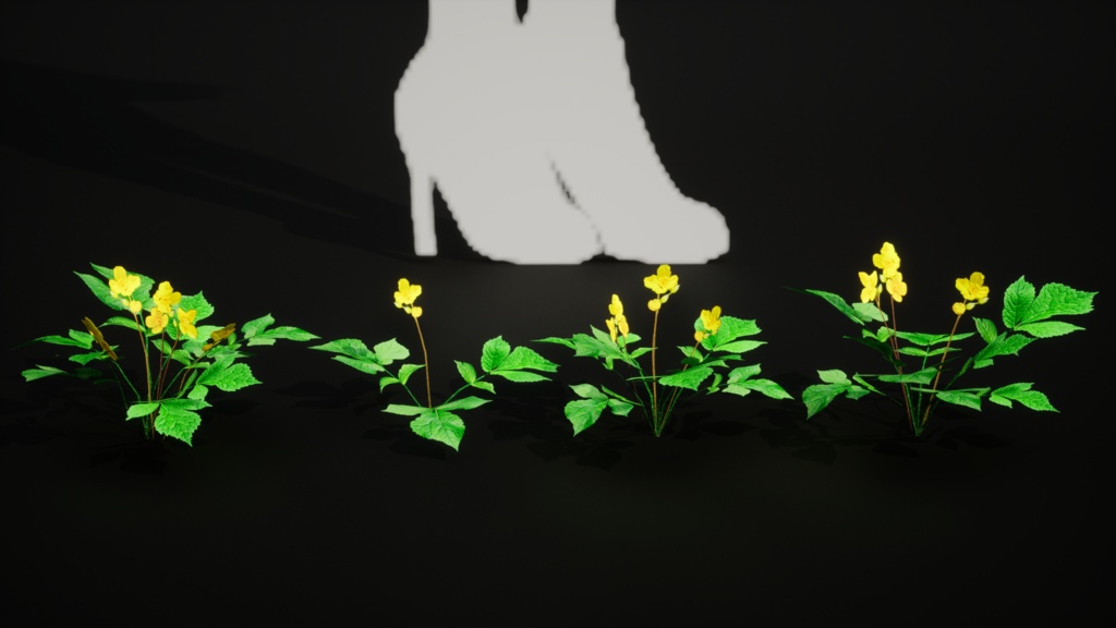 韓国の宝石、黄色い花 マミプル