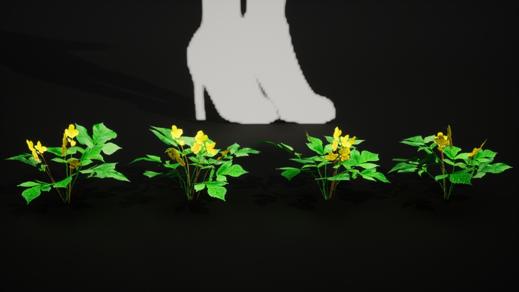 韓国の宝石、黄色い花 マミプル