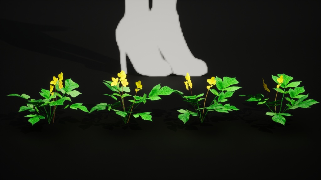 韓国の宝石、黄色い花 マミプル